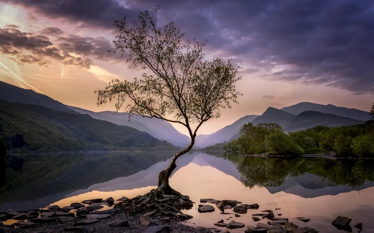 Beautiful • Pretty • Lovely • Handsome • Attractive • Goodlooking