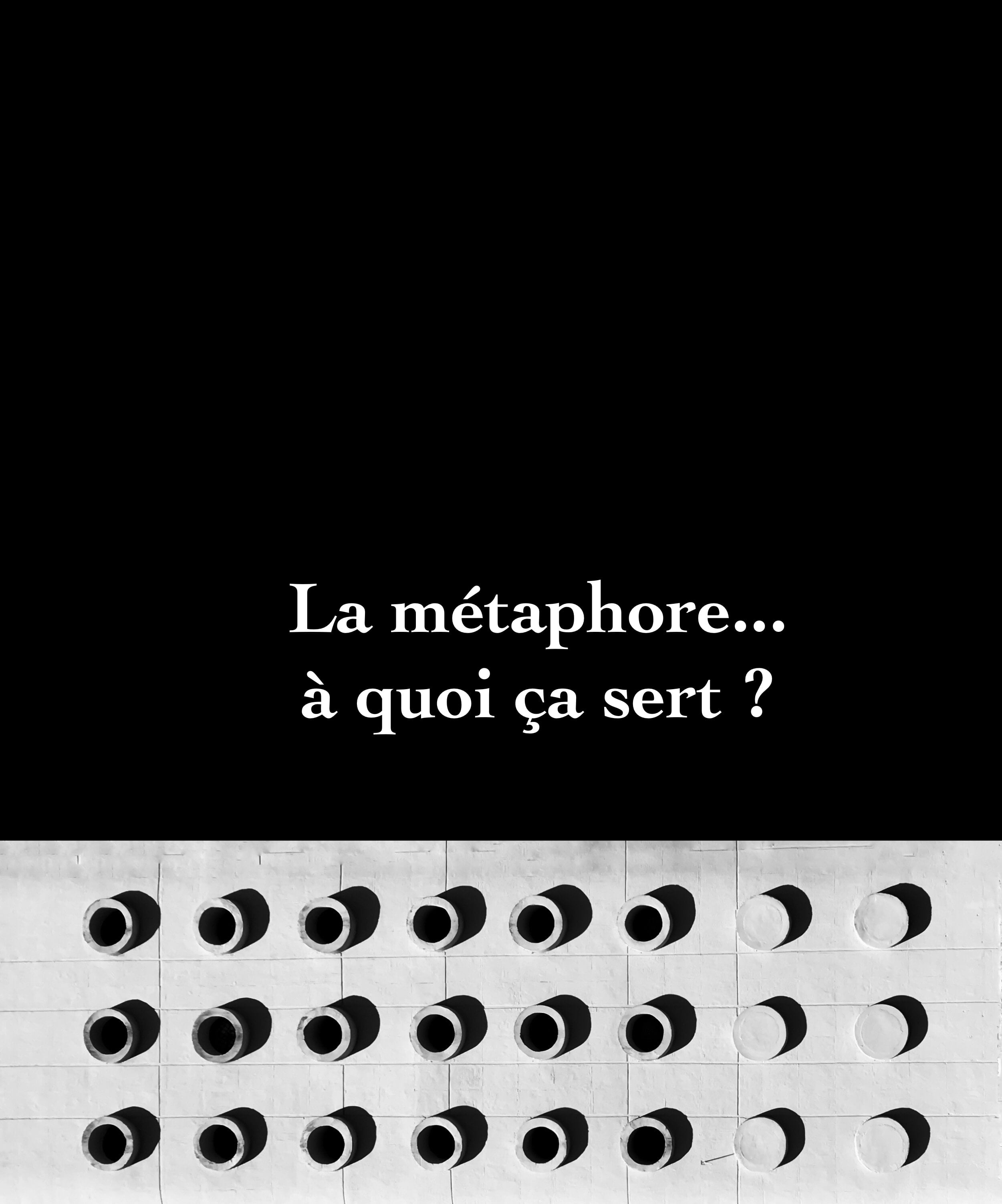 Métaphore Blog littéraire