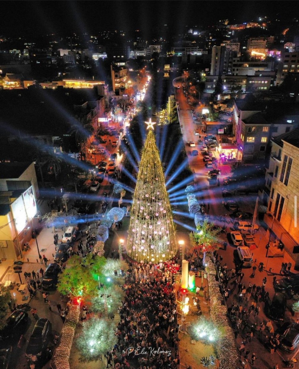 Christmas Trees From Around Lebanon [2021] Blog Baladi