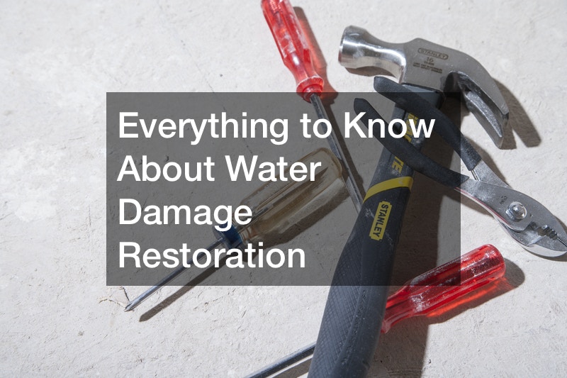 Everything to Know About Water Damage Restoration Blogging Information