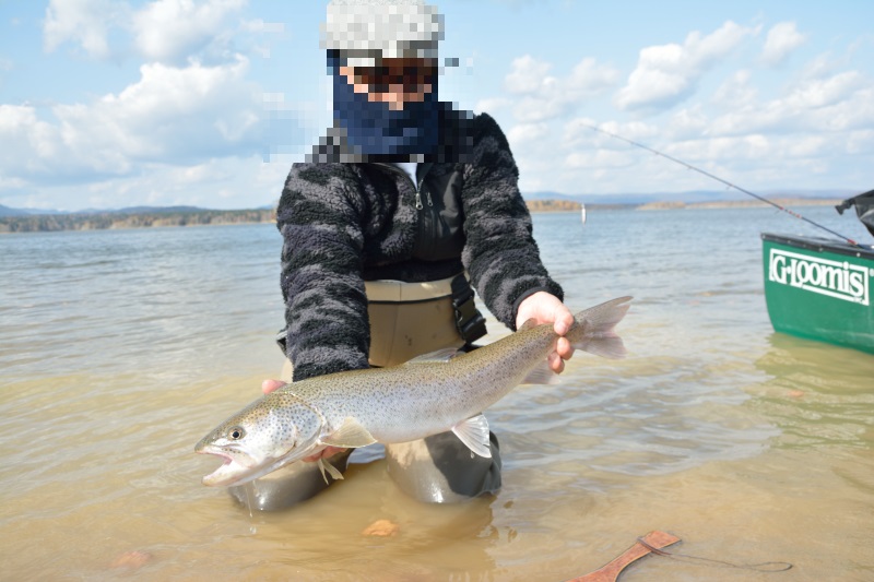 朱鞠内湖のイトウ釣りに初挑戦 ココのブログ