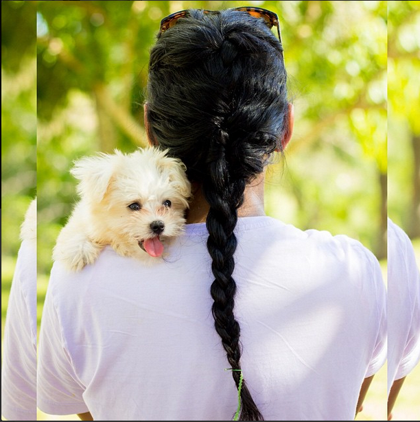 Quanto custa ter um cachorro? Blog da Maanuh