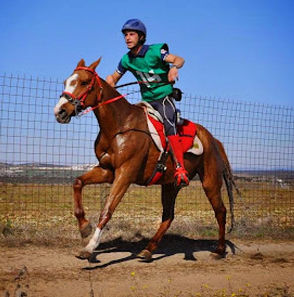 La Preparación del Caballo de Raid, mi trabajo para los alumnos.