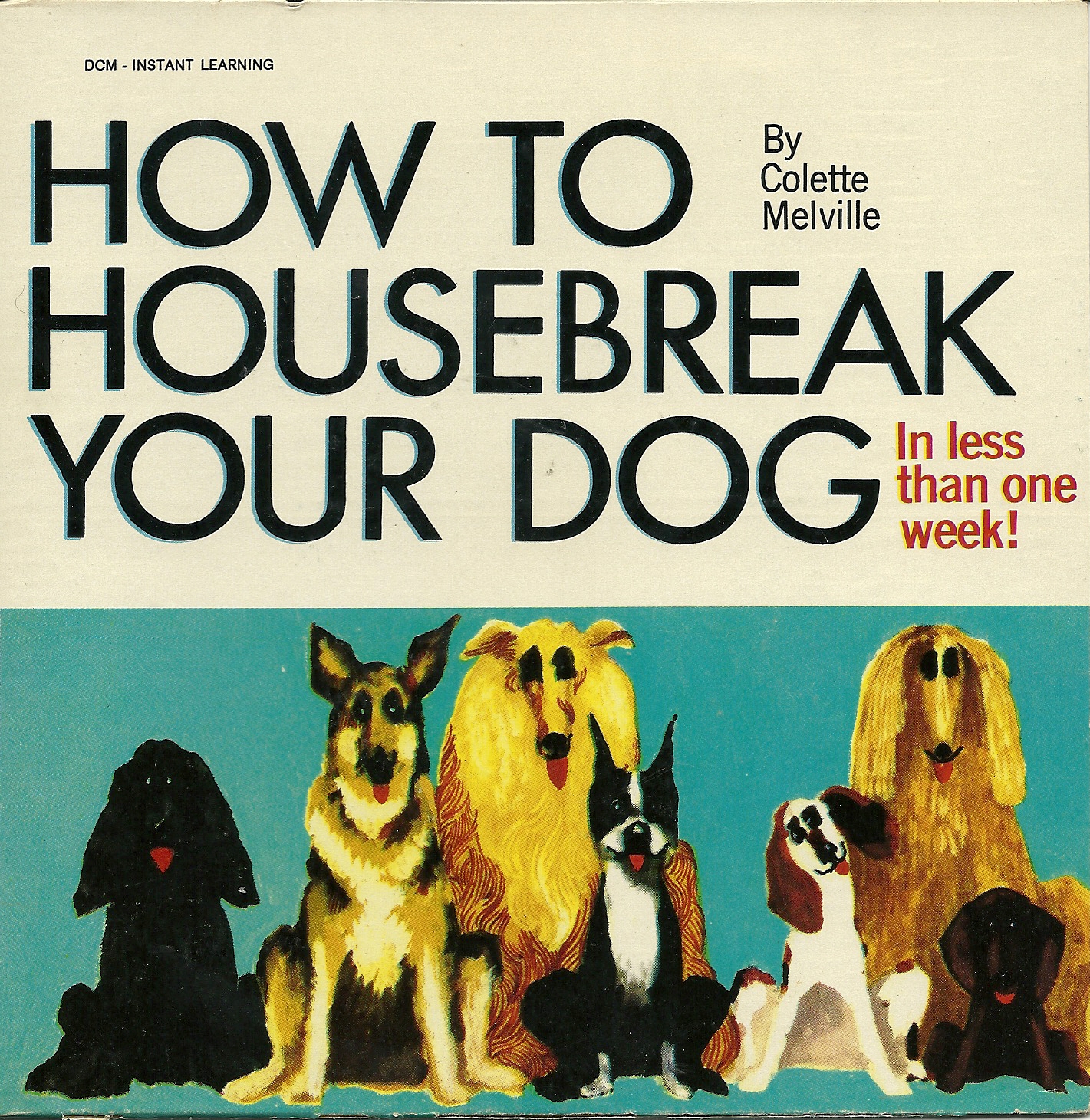 How to Housebreak Your Dog (MP3's) WFMU's Beware of the Blog