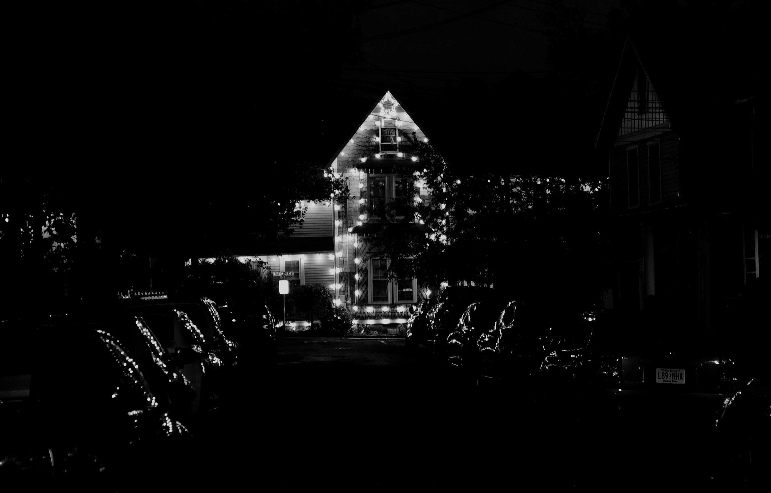 Nocturnal Grove Christmas in May…and it’s cold outside!