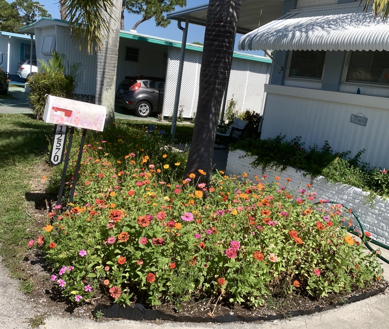 Flowers, a natural stress reliever……