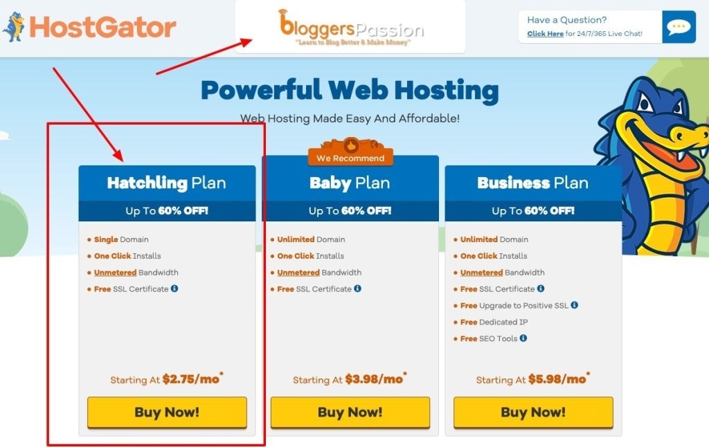 HostGator Hatchling Plan Review 2021 Is it for you [60 Off]