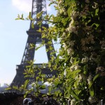 Free Tools for Bloggers