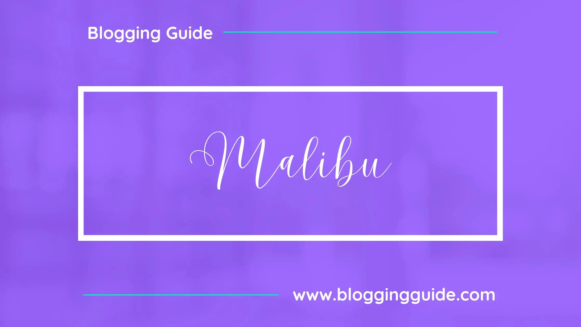 Best Calligraphy Fonts in Canva Blogging Guide