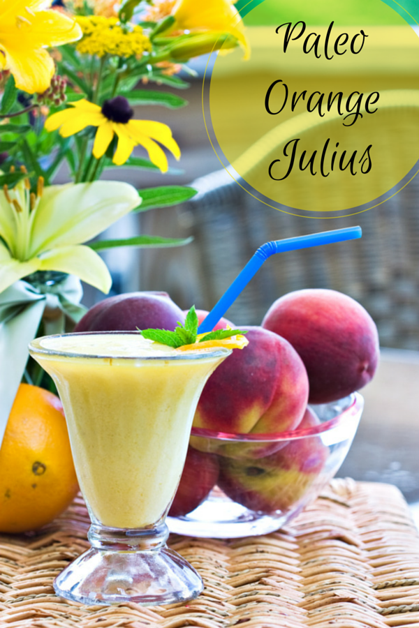 Paleo Friendly Orange Julius Recipe