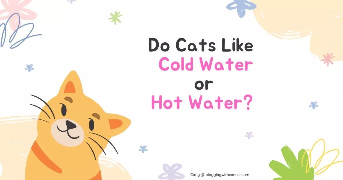 Do Cats Like Cold Water or Hot Water? BloggingWithConnie