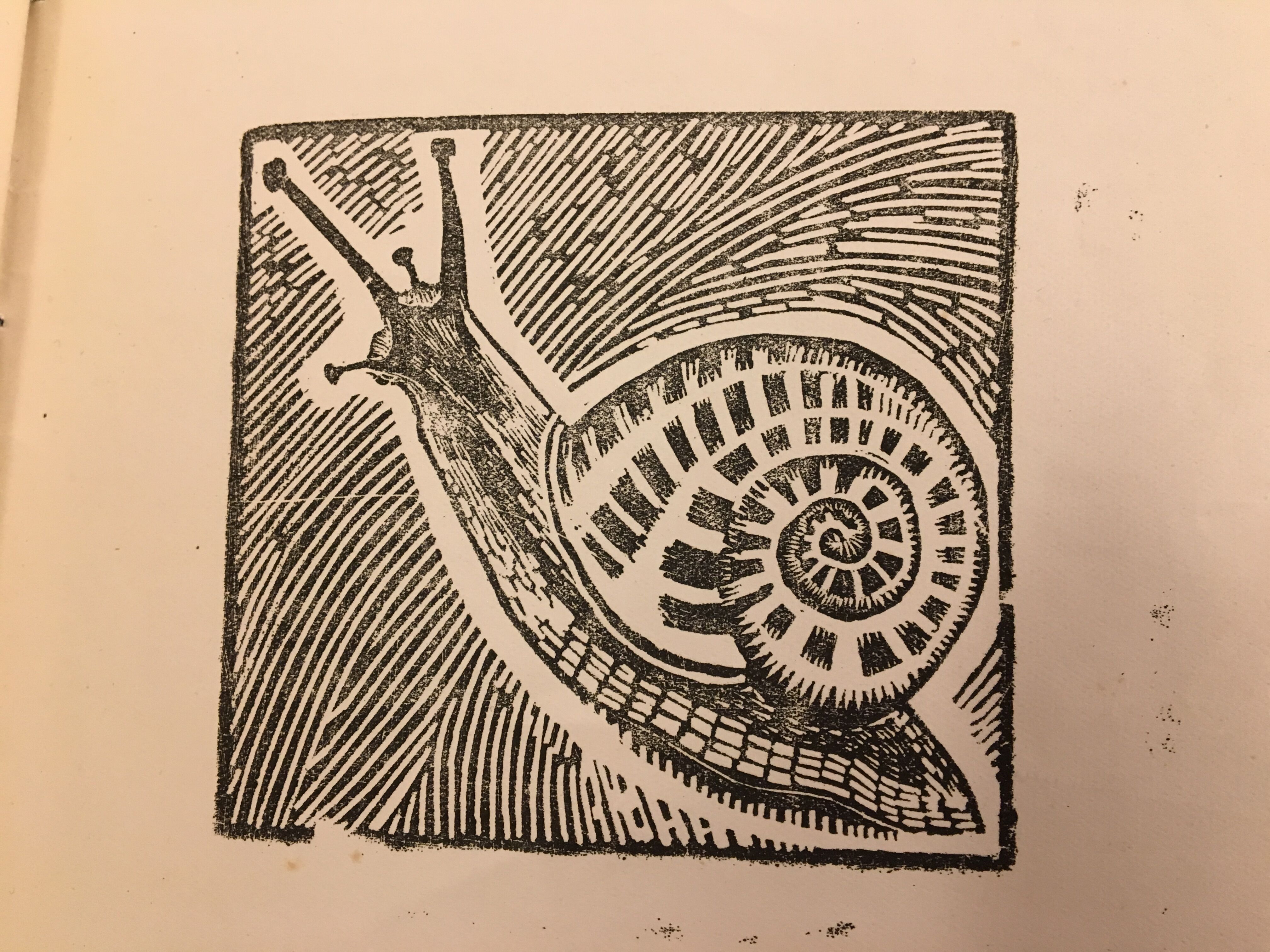 The Mark on the Page Hogarth’s Snail around the Flowerbed of