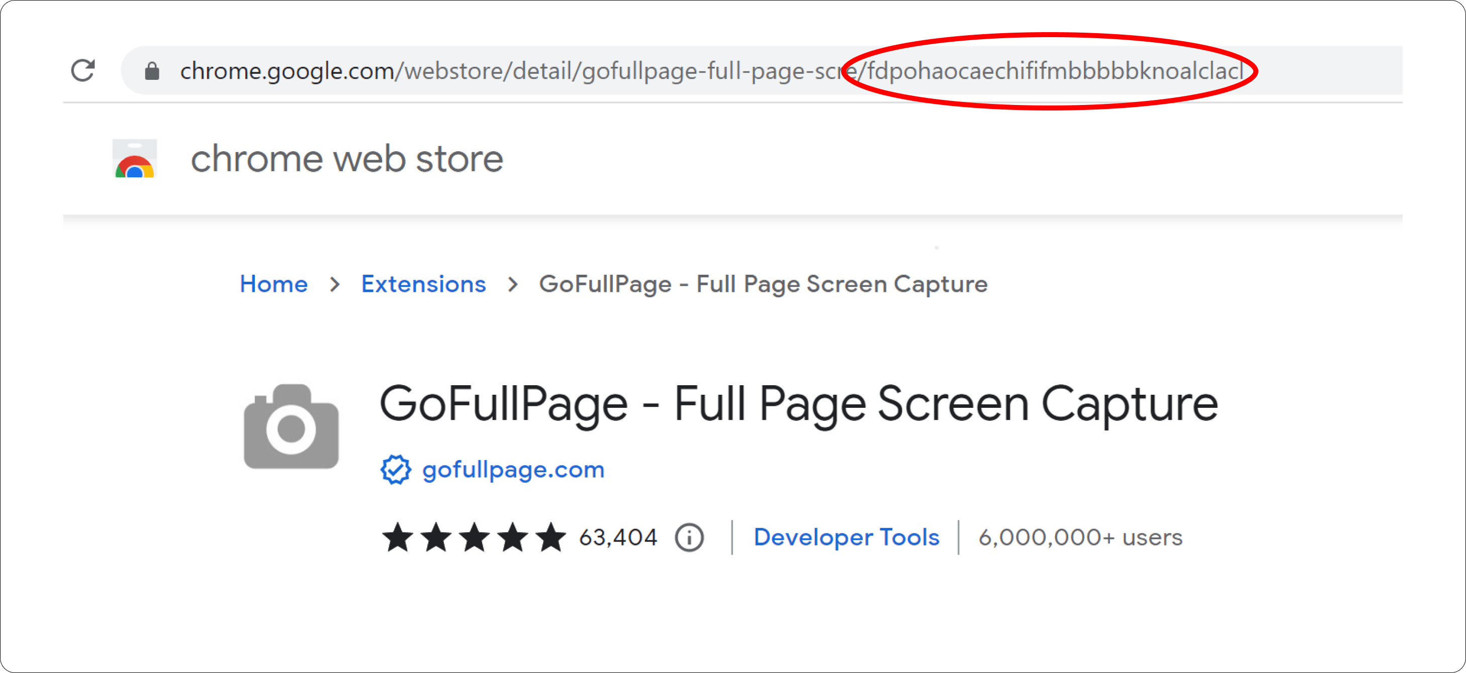 How We are Building a Sustainable Business at GoFullPage GoFullPage Blog