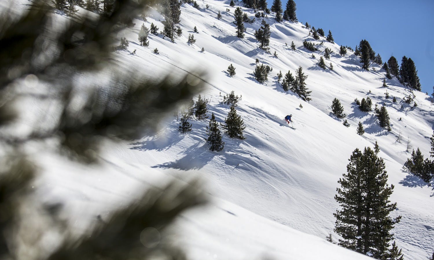 Five unusual winter activities Musement