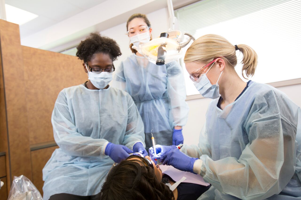 does ivy tech have a dental hygiene program Jone Gagne