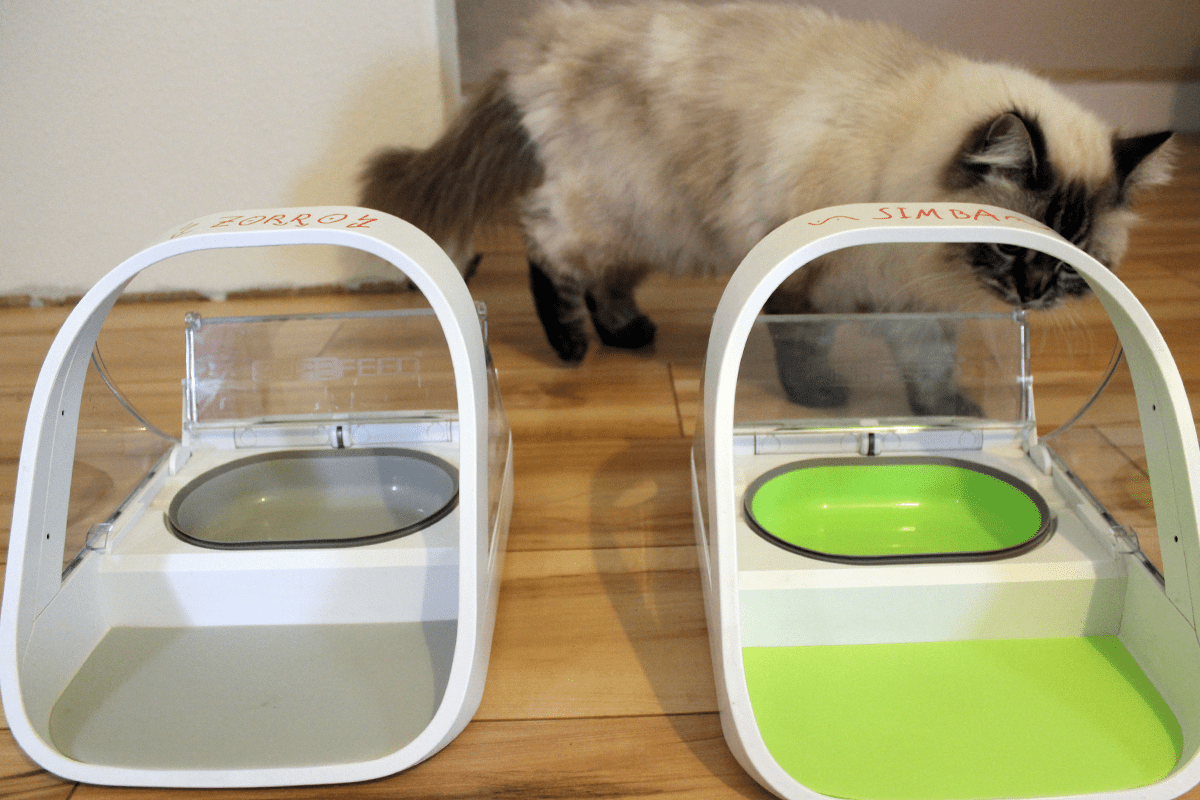 Surefeed Mikrochip Futterautomat - Blogkatzen