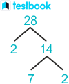 Factors of 28 by Prime Factorization & Factor Tree Method