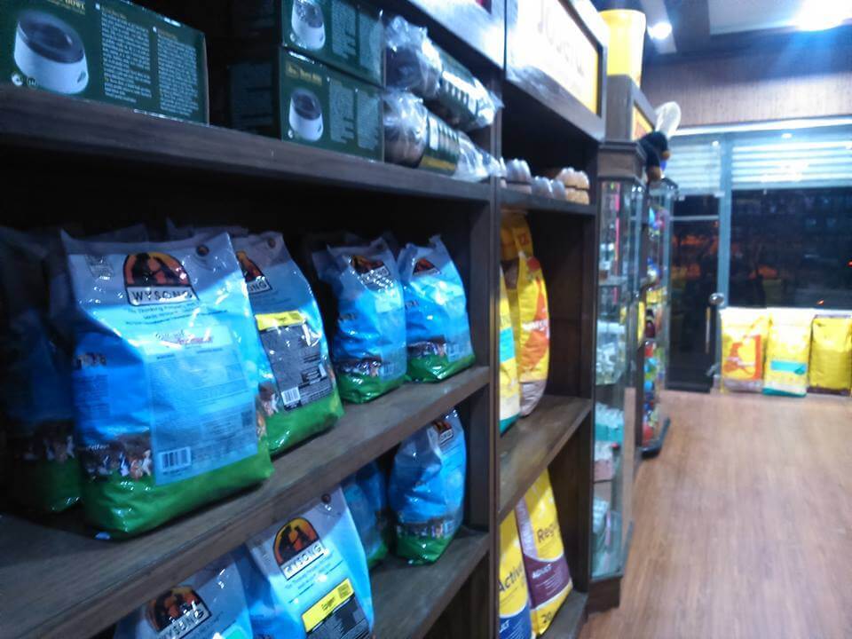 10 Best Pet Stores in Karachi For Your Pets’ Every Need