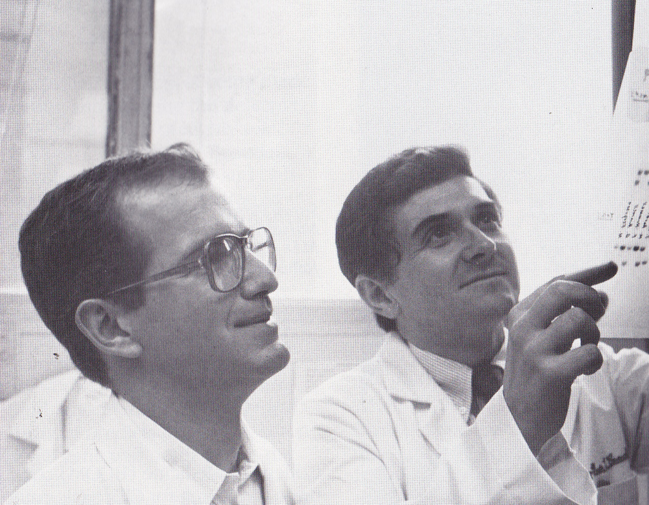 The RNA code Nature’s Rosetta Stone Baylor College of Medicine Blog