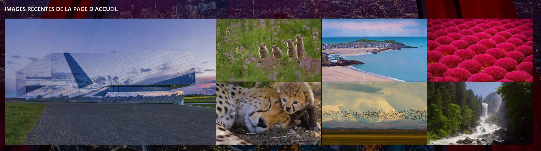 Découvrez l'histoire de l'image de la page d'accueil Bing Bing Blog