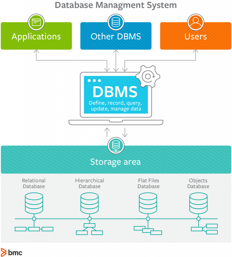 what is a database management system