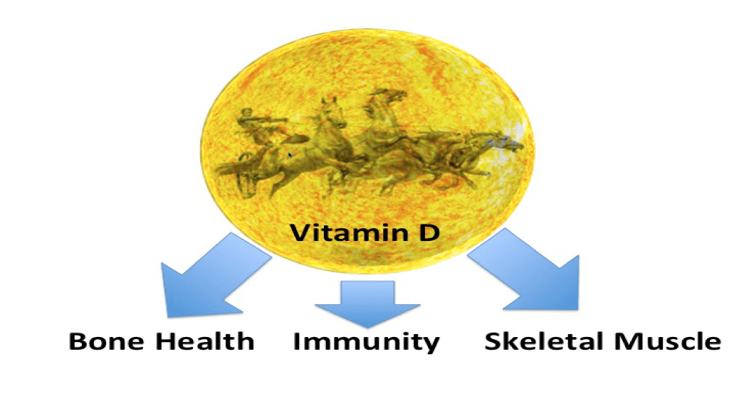 Synergistic interactions of steroid hormones BJSM blog social media
