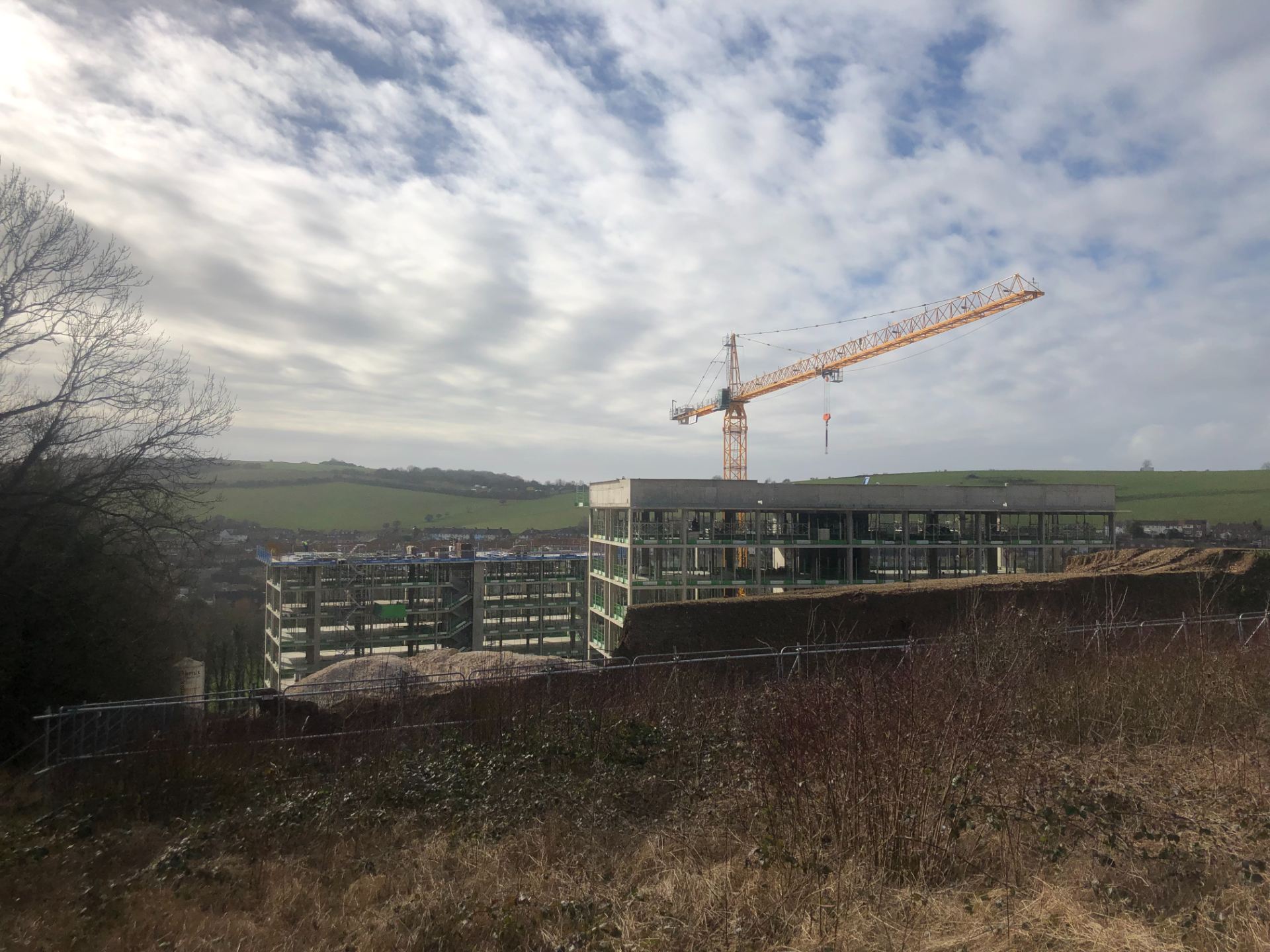 Current Construction Process, Project Plans and Wildlife Hyde Housing