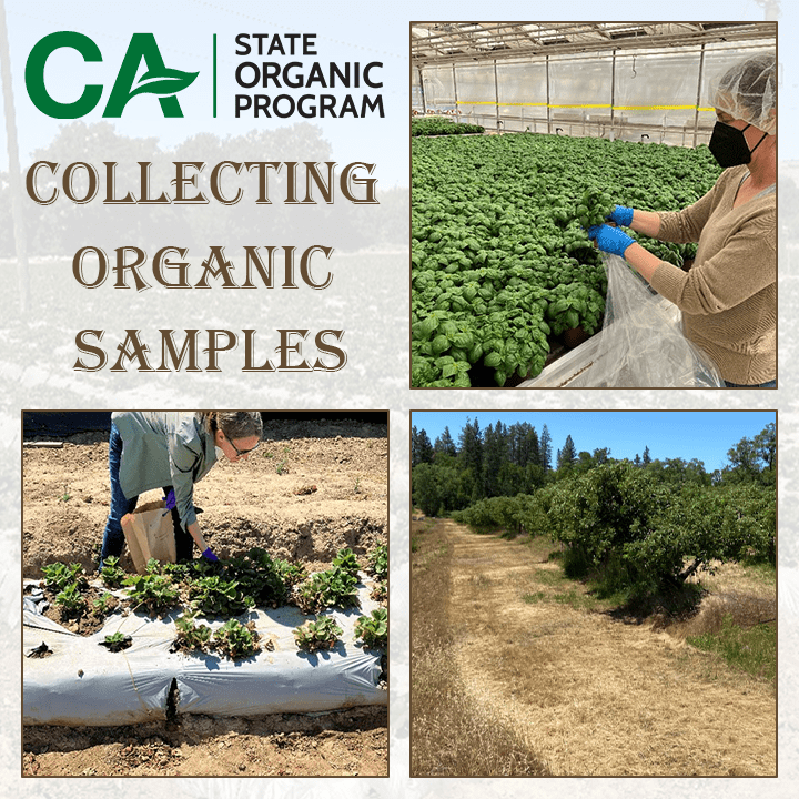 CDFA partners with county agricultural commissioner offices to conduct