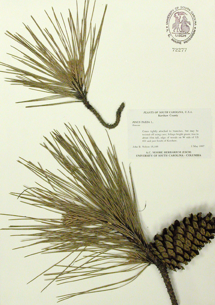 Clemson Extension Forestry & Wildlife Differentiating Between