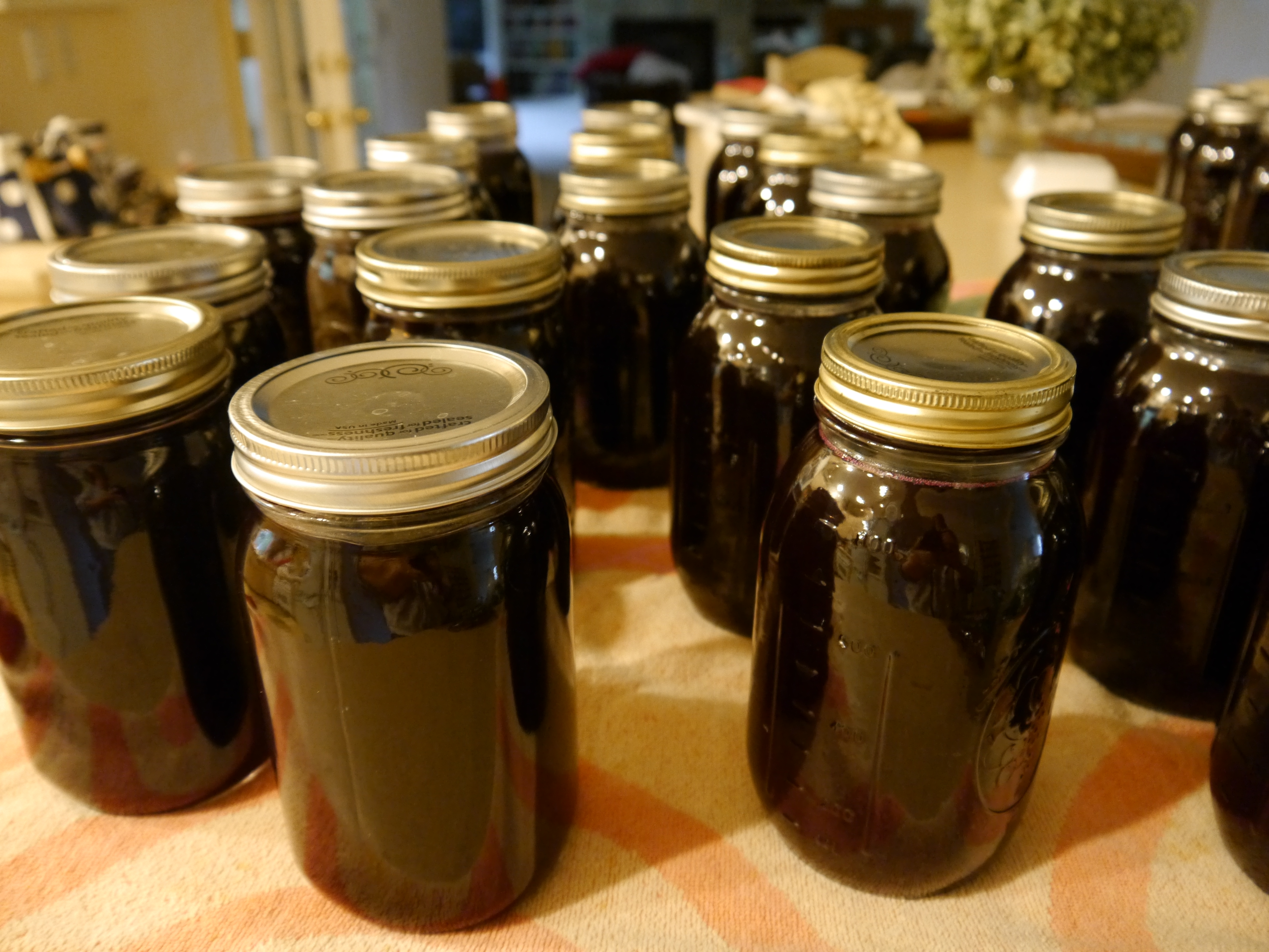 My Wonderful Steam Juicer! - On The Table