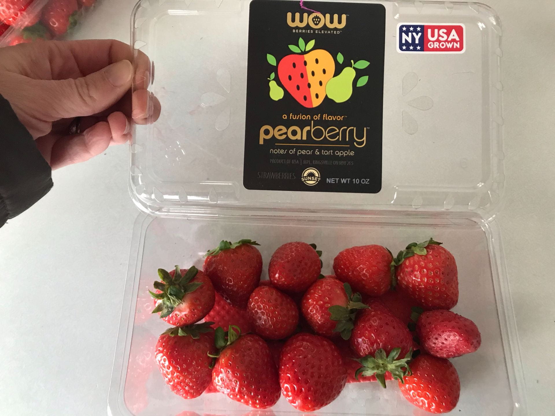 New York greenhouse grown strawberries Cornell Fruit Resources Berries