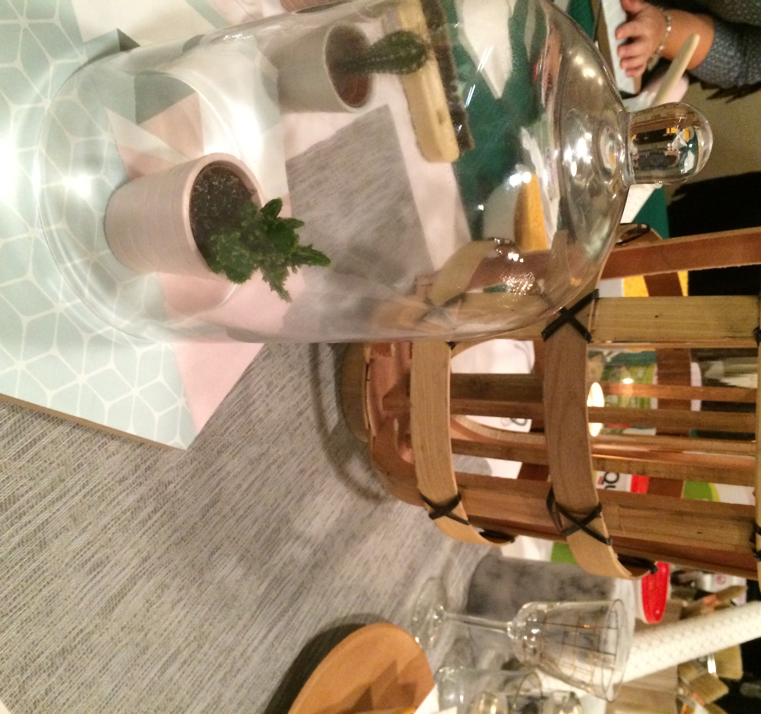 DIY de nöel couronne, centres de table… C ma déco, le