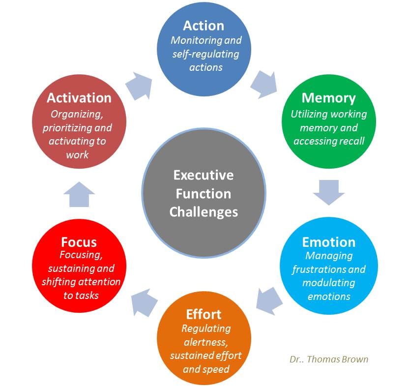 Executive Functioning and Online Classes Take Care DePaul Blog