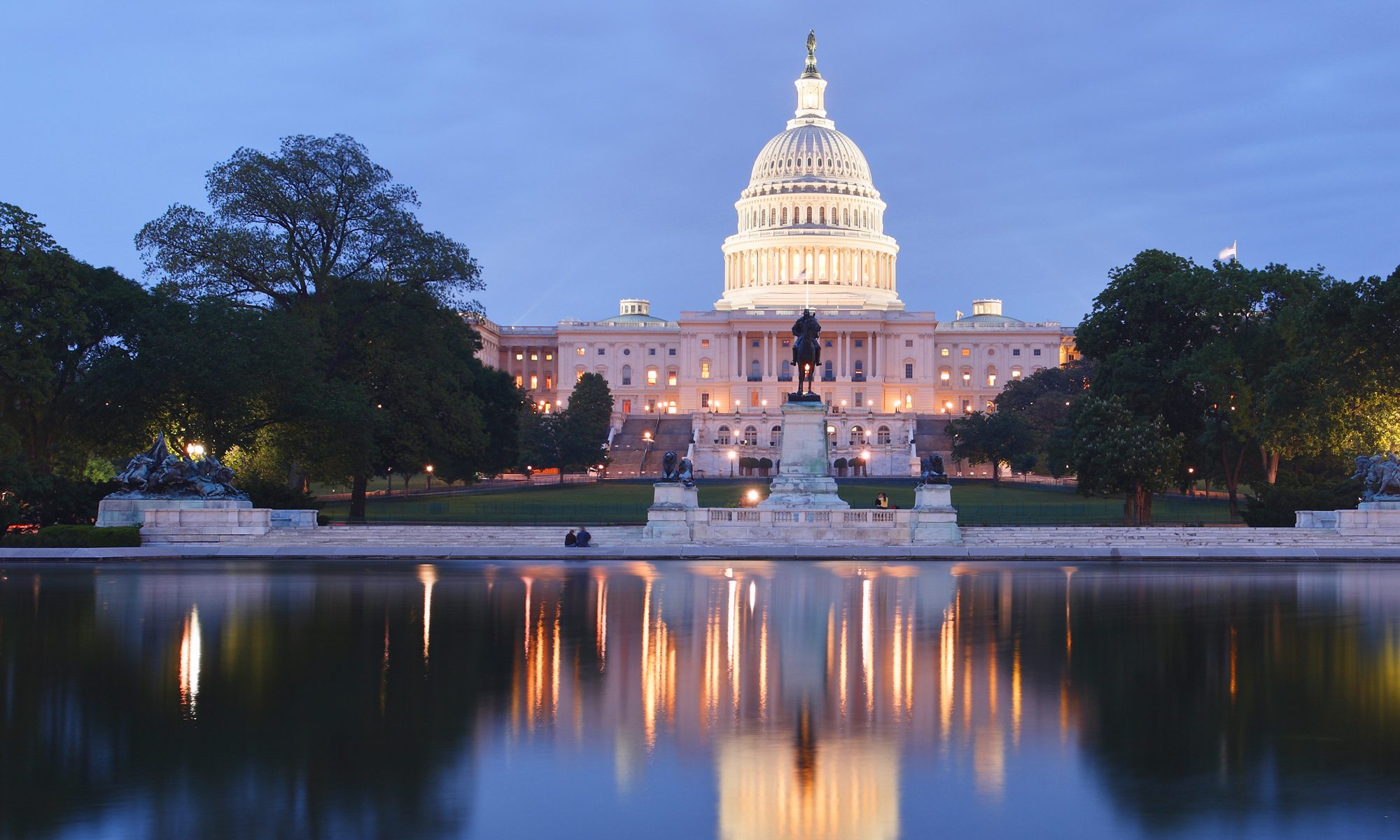 Government Contracts and Litigation