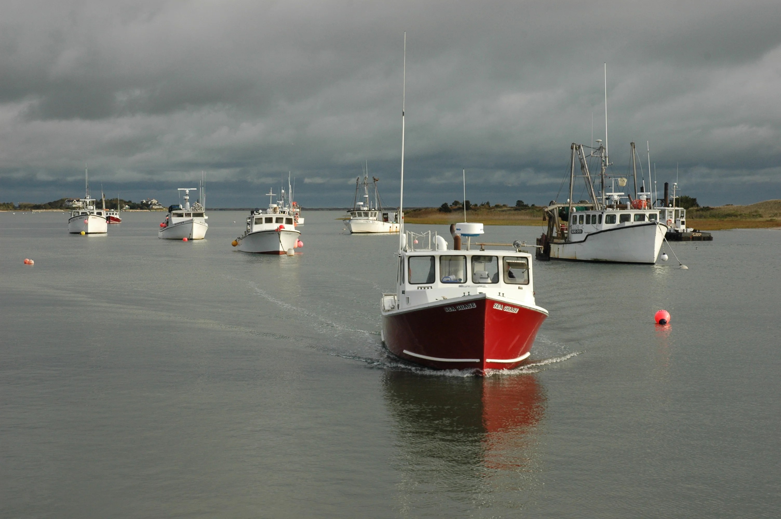 New England Fisheries Need A New Roadmap