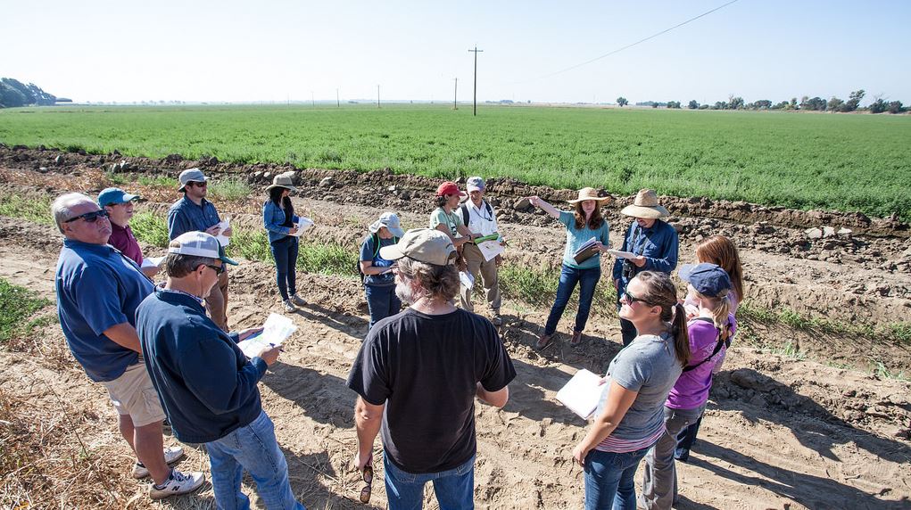 Collaborative conservation A ripe example from America’s farms