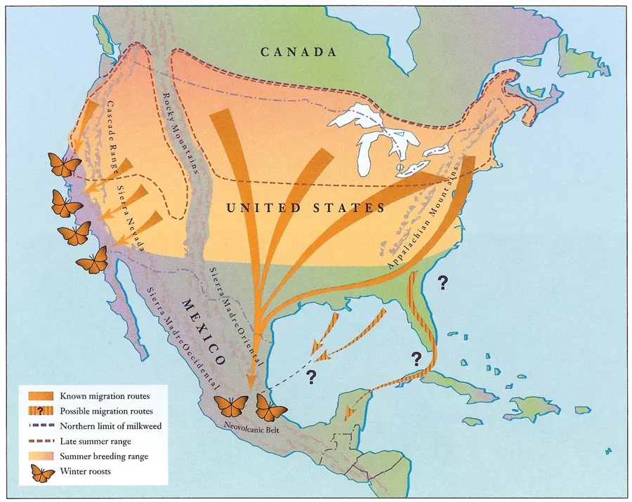 Monarch Migration Mexico Map From California to Idaho Protecting rural pit stops on the monarch