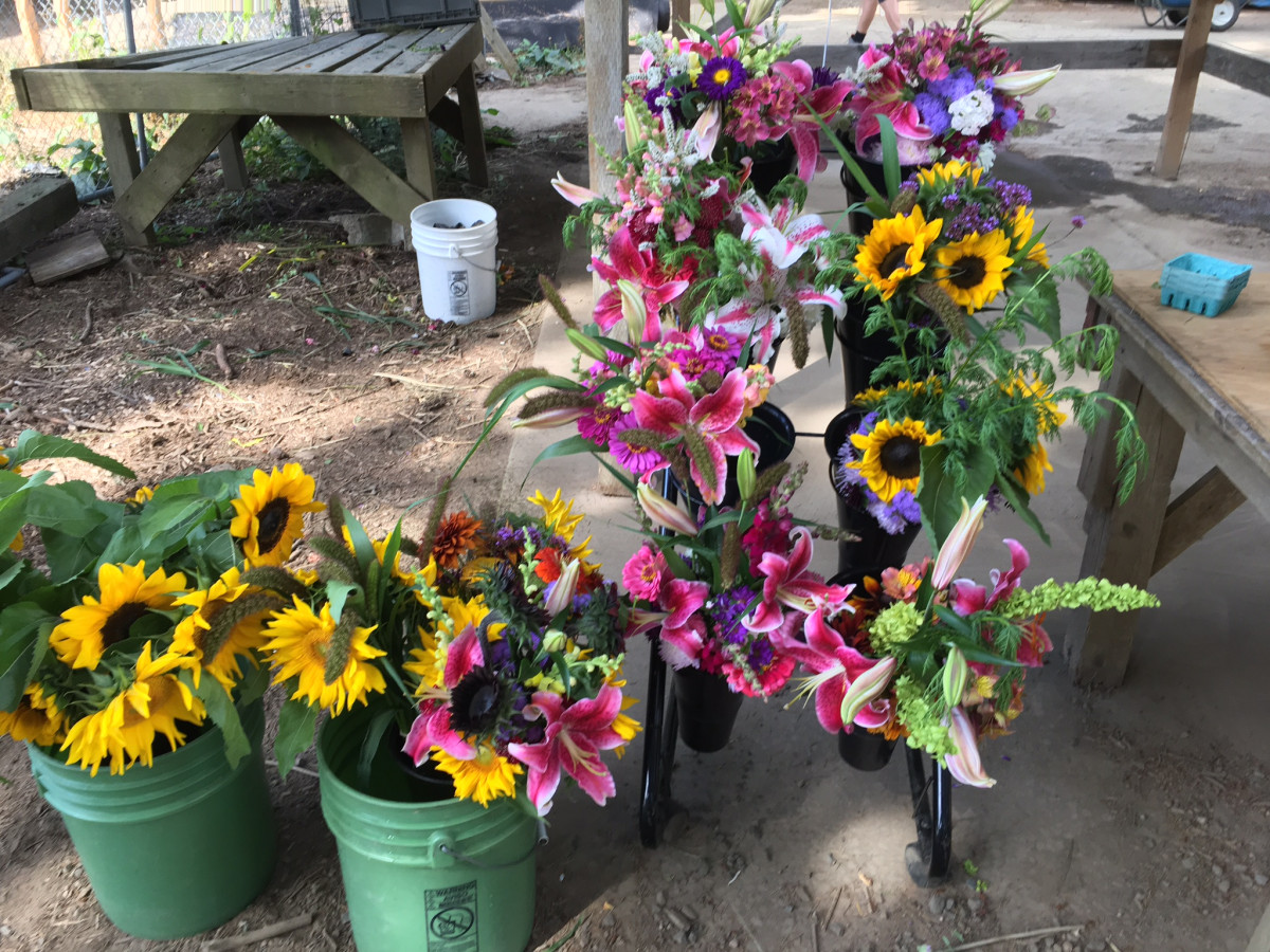 Floret Flower Online Allie's Field Study