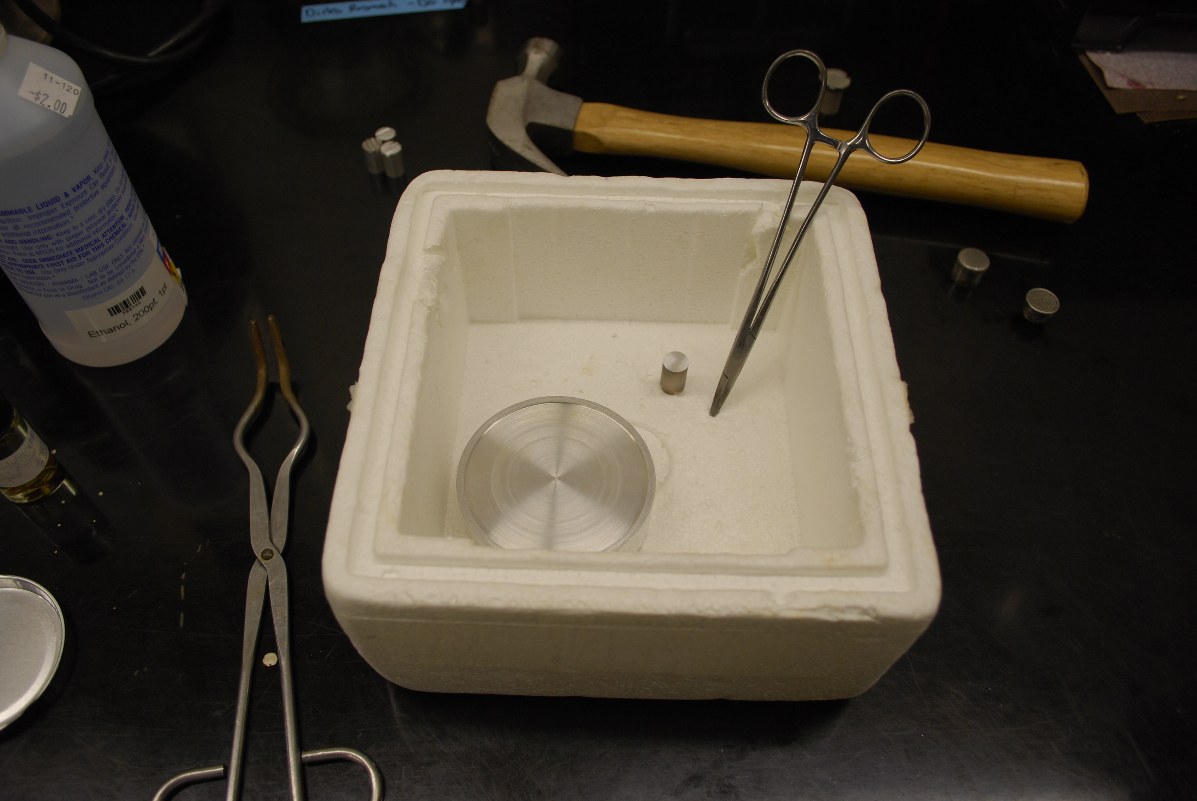» SEM sample prep freeze fracturing with liquid Nitrogen Fungal