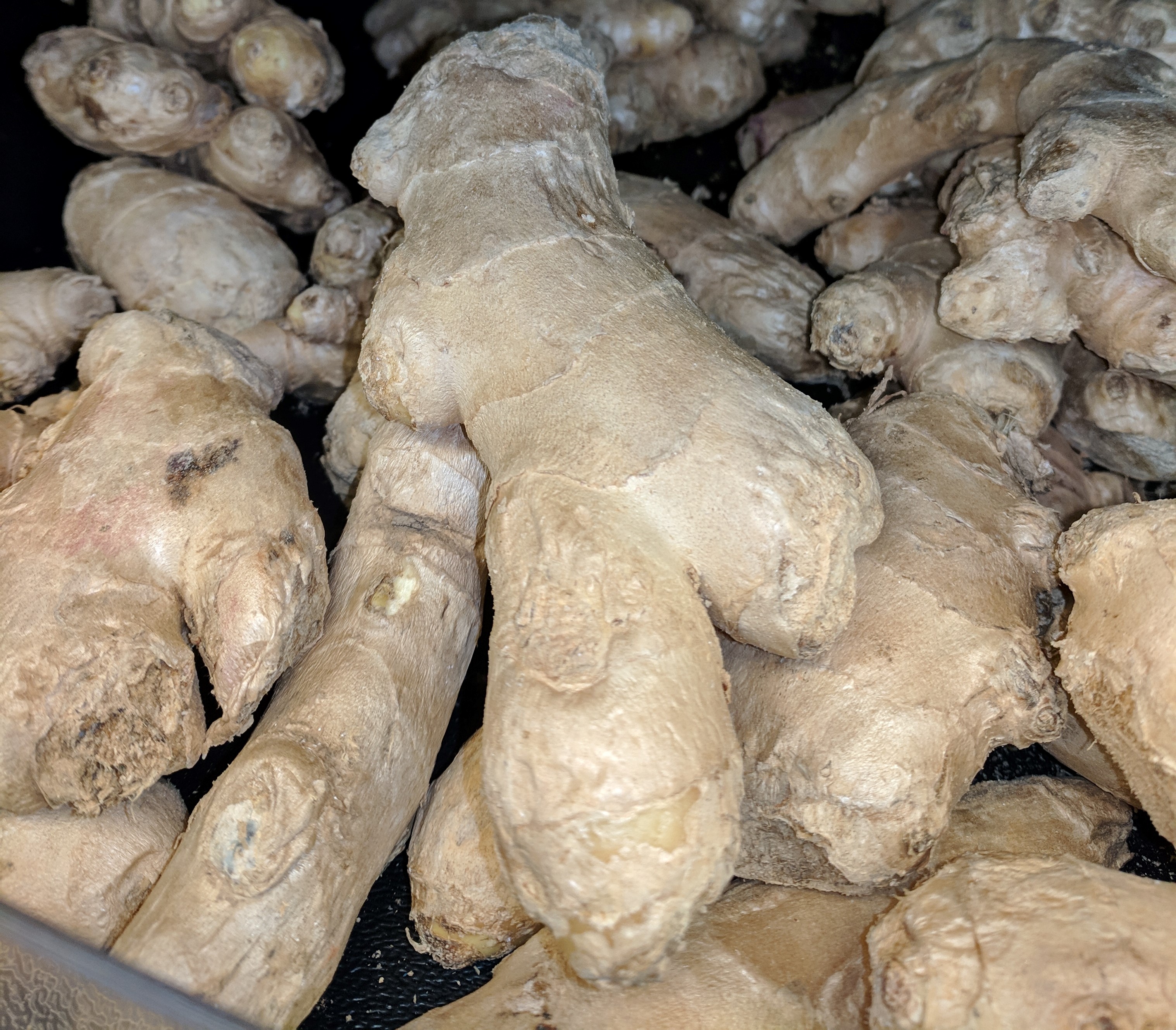 Top 20+ How To Store Fresh Ginger