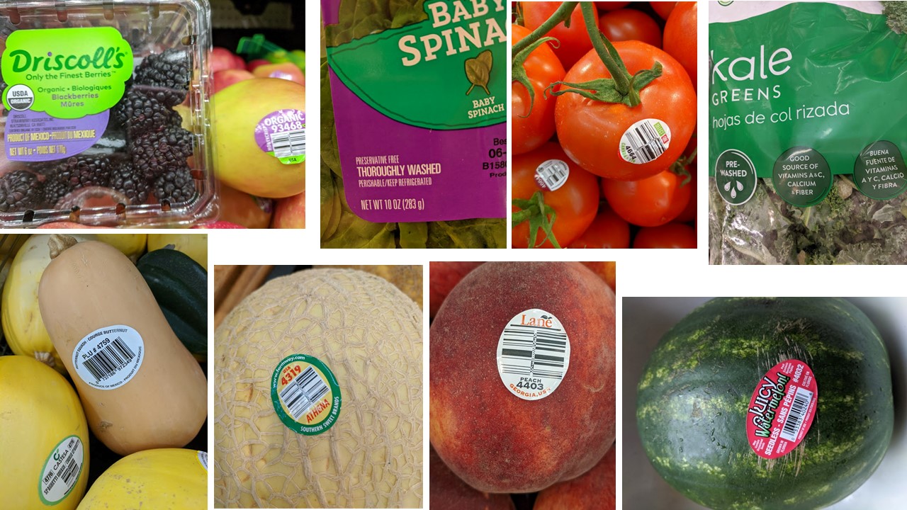 AnswerLine • Iowa State University Extension and Outreach