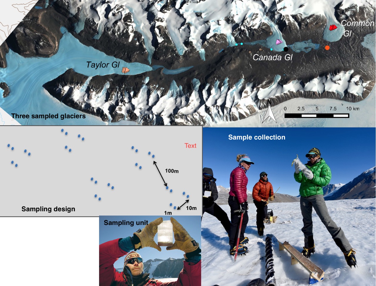 The Cryoconite Holes Project Returns to the Field UF