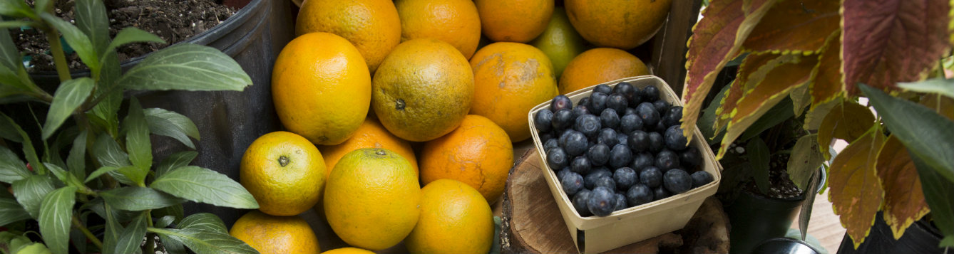 In theory, these provisions remove barriers for both entrepreneurs and. Updates to the Florida Cottage Food Law - UF/IFAS ...