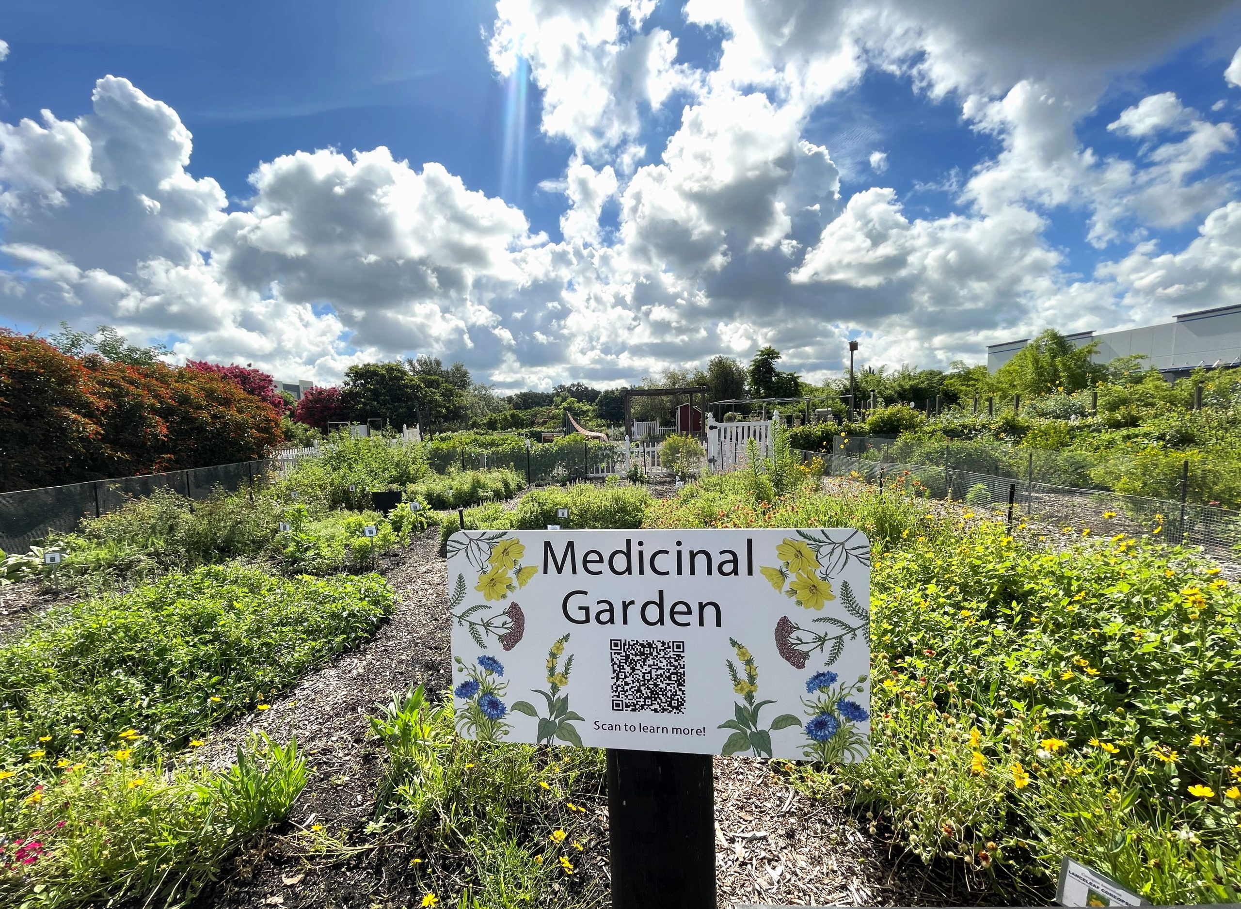 Harvesting Health Medicinal Plants for the Central Florida Garden UF