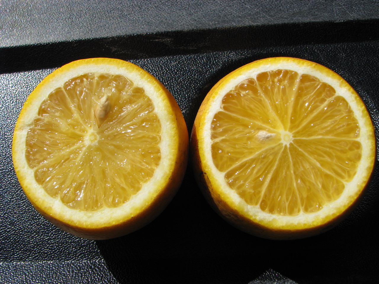 How Do Citrus Growers Determine Freeze Damage? UF/IFAS Extension Polk County