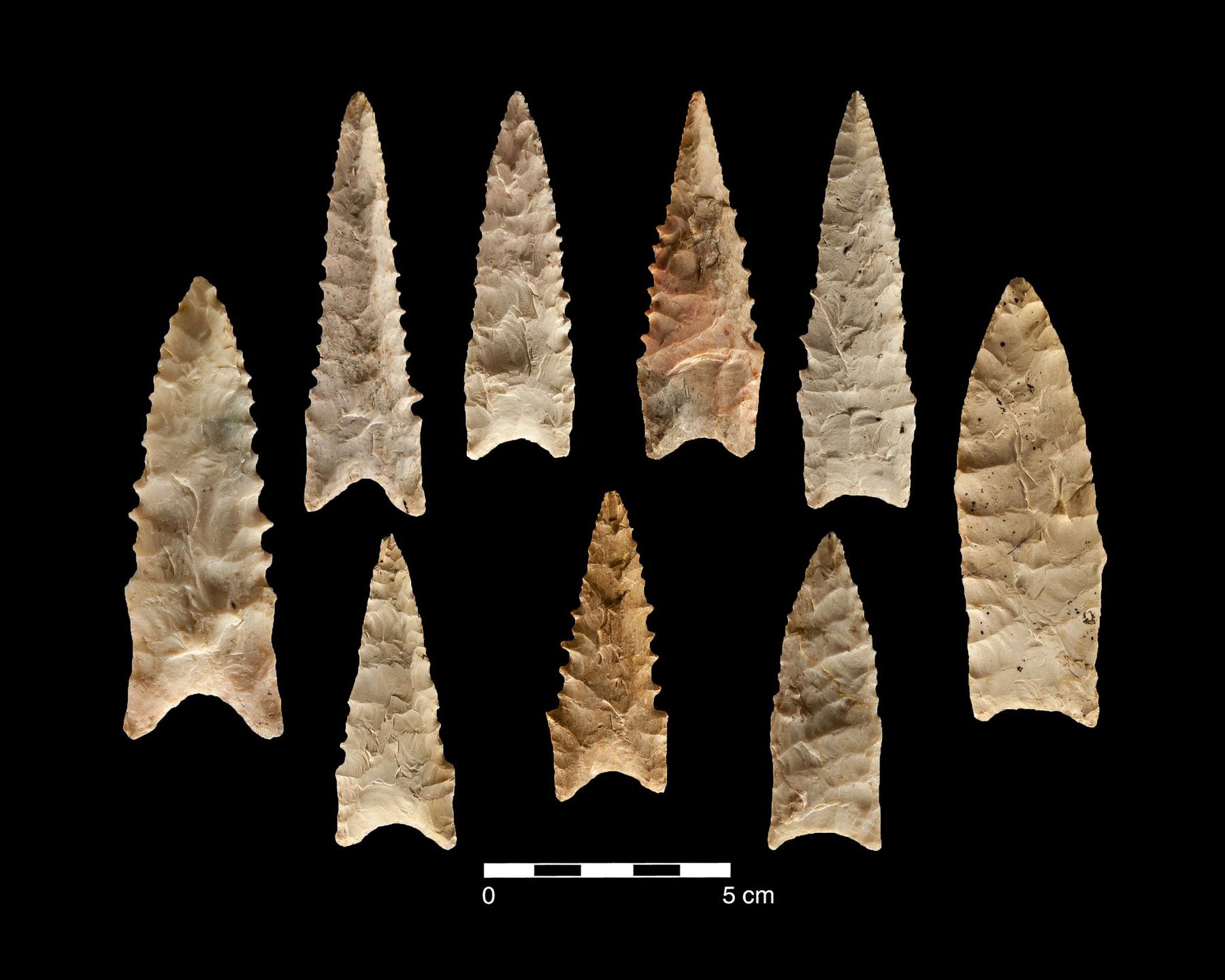 Avonlea Projectile Point at Myra Obrien blog