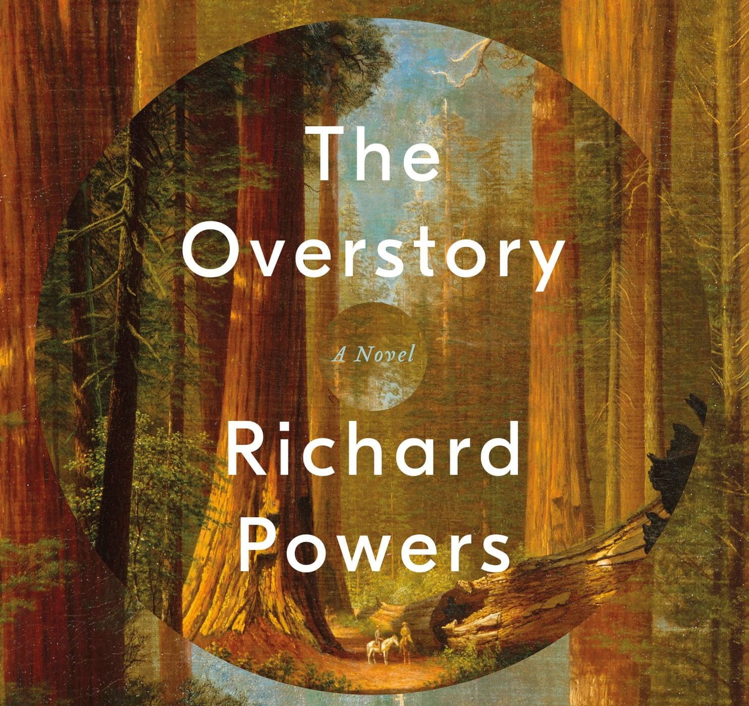 Book Review The Overstory by Richard Powers University Libraries Blog