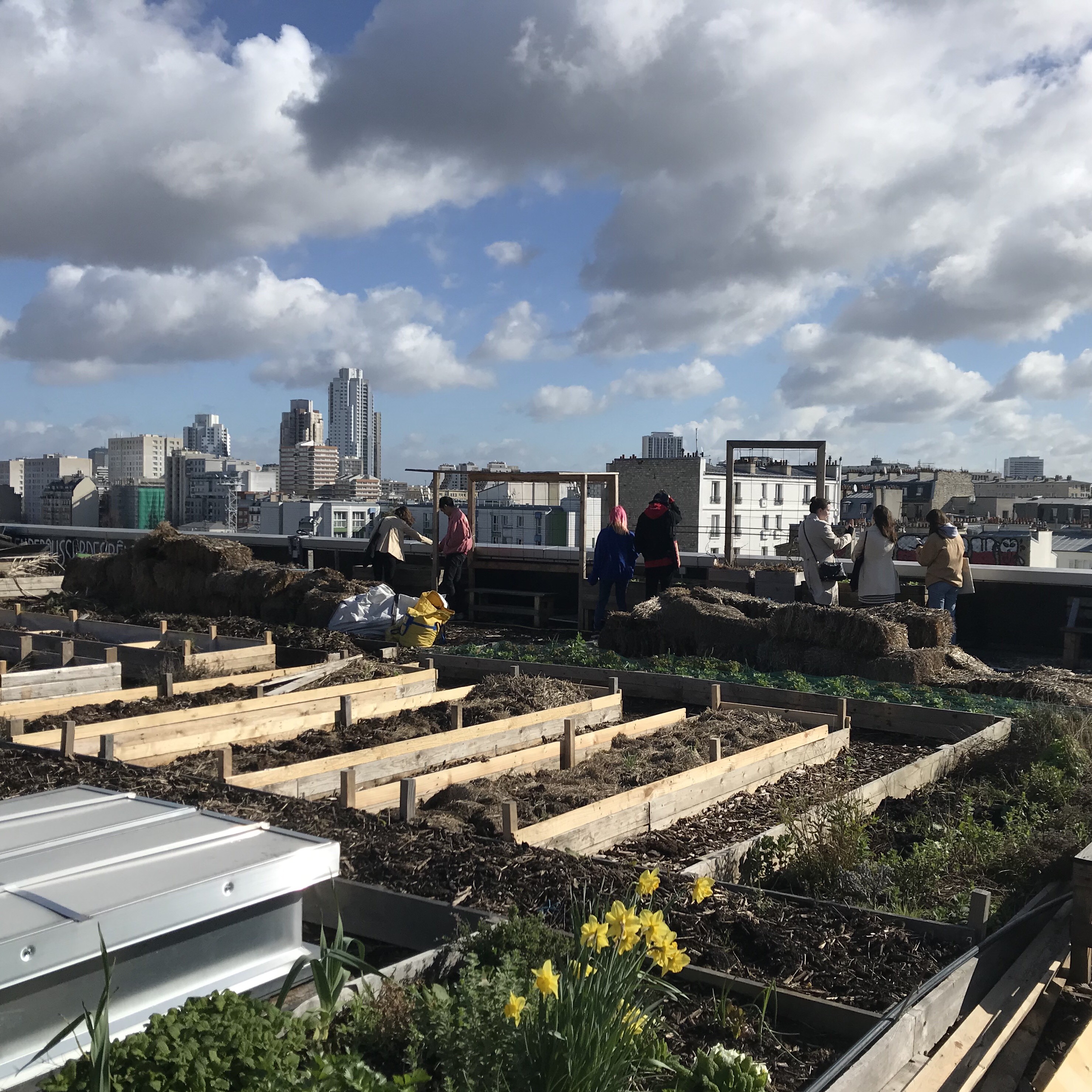 Exploring alternative food systems on a Parisian rooftop garden