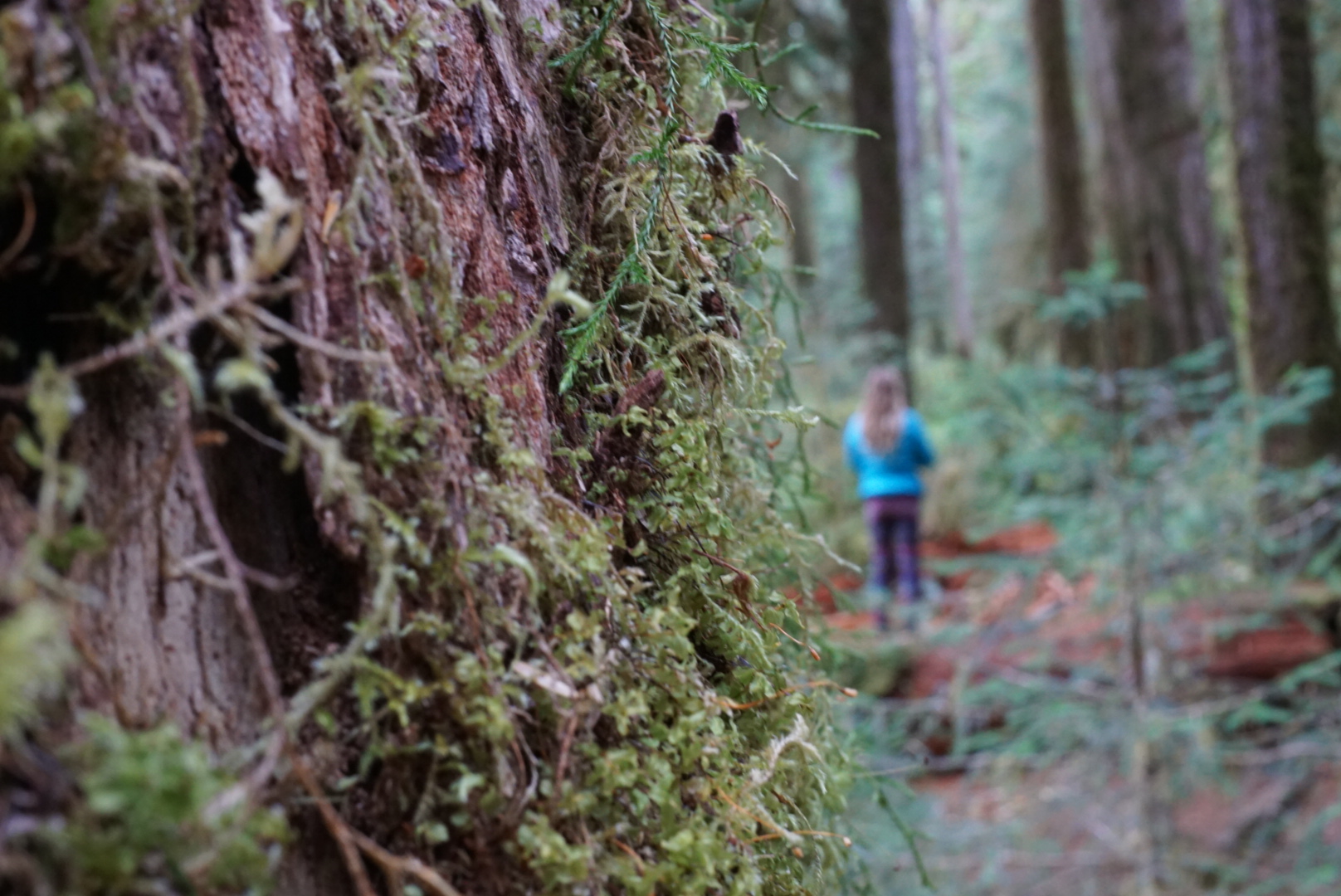 Hope in the Wild Exploring Green