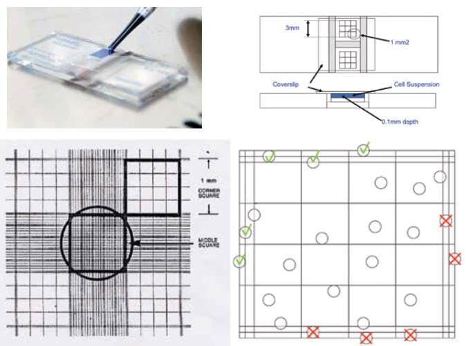 Introduction Designing a cellcounting microscope